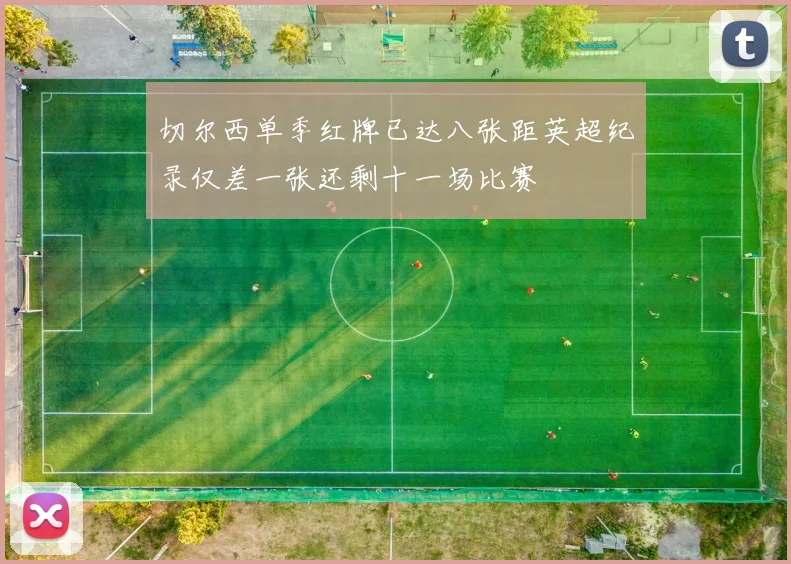切尔西单季红牌已达八张距英超纪录仅差一张还剩十一场比赛